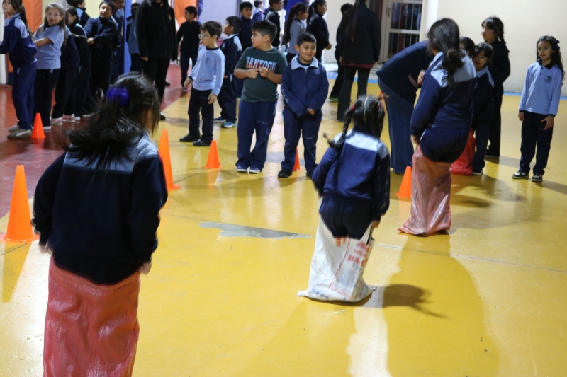 Día de la Actividad Física